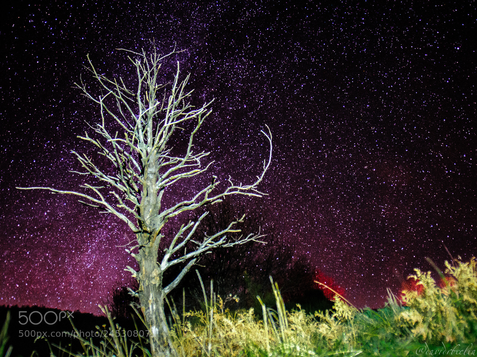 Nikon D300 sample photo. Rocabruna milky way 25 photography