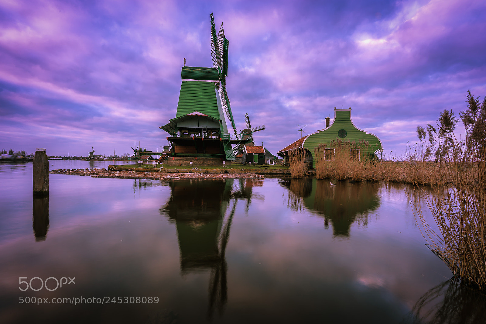 Sony a7 II sample photo. Dutch landscape photography