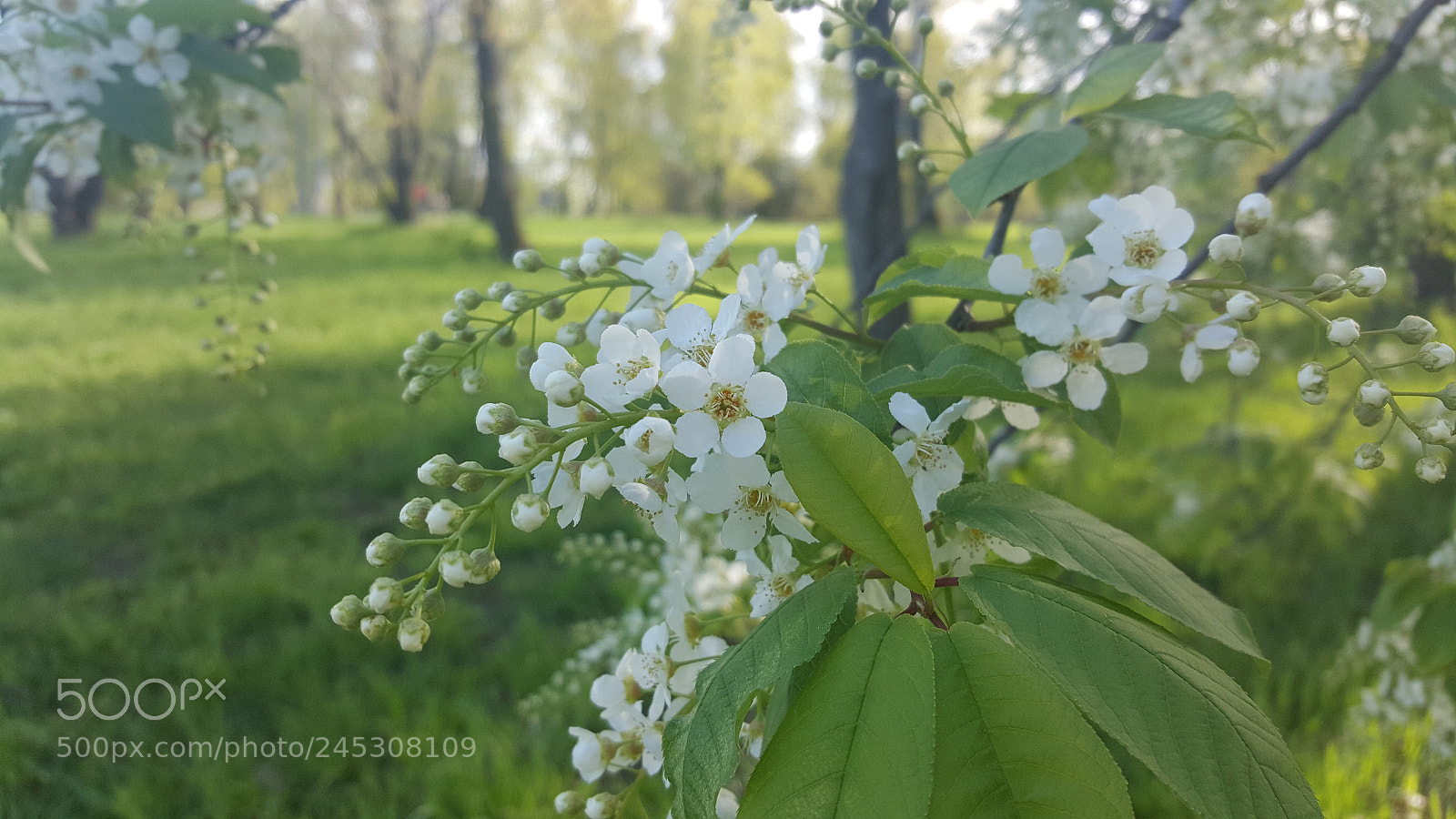 Samsung GALAXY S6 edge sample photo. Untitled photography