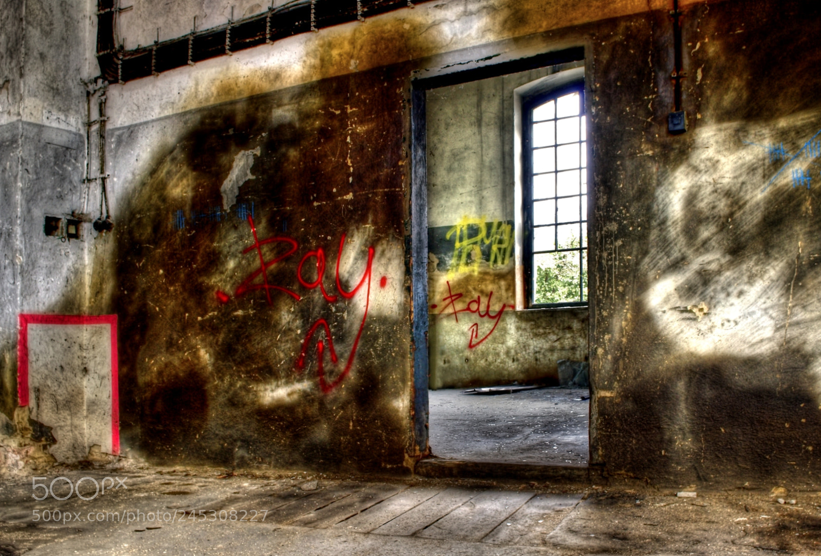 Nikon D3200 sample photo. Door photography