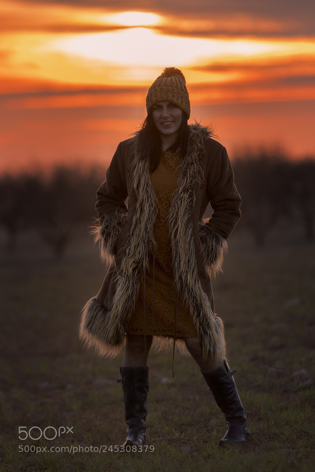 Nikon D500 sample photo. The field's soft light photography