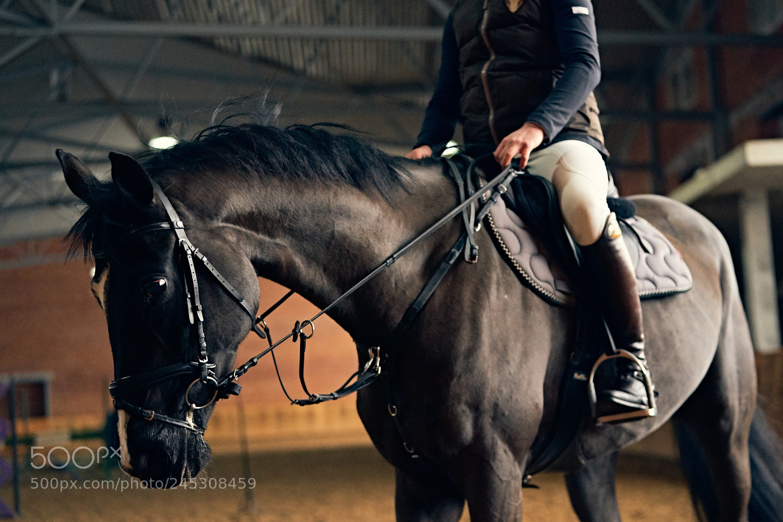 Sony a9 sample photo. Horse reder on a photography