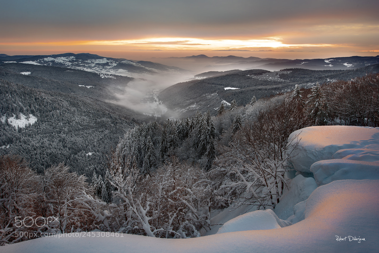 Nikon D810 sample photo. Winter mood photography