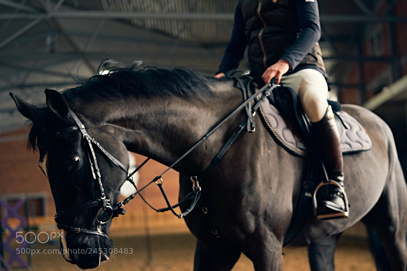 Sony a9 sample photo. Horse reder on a photography