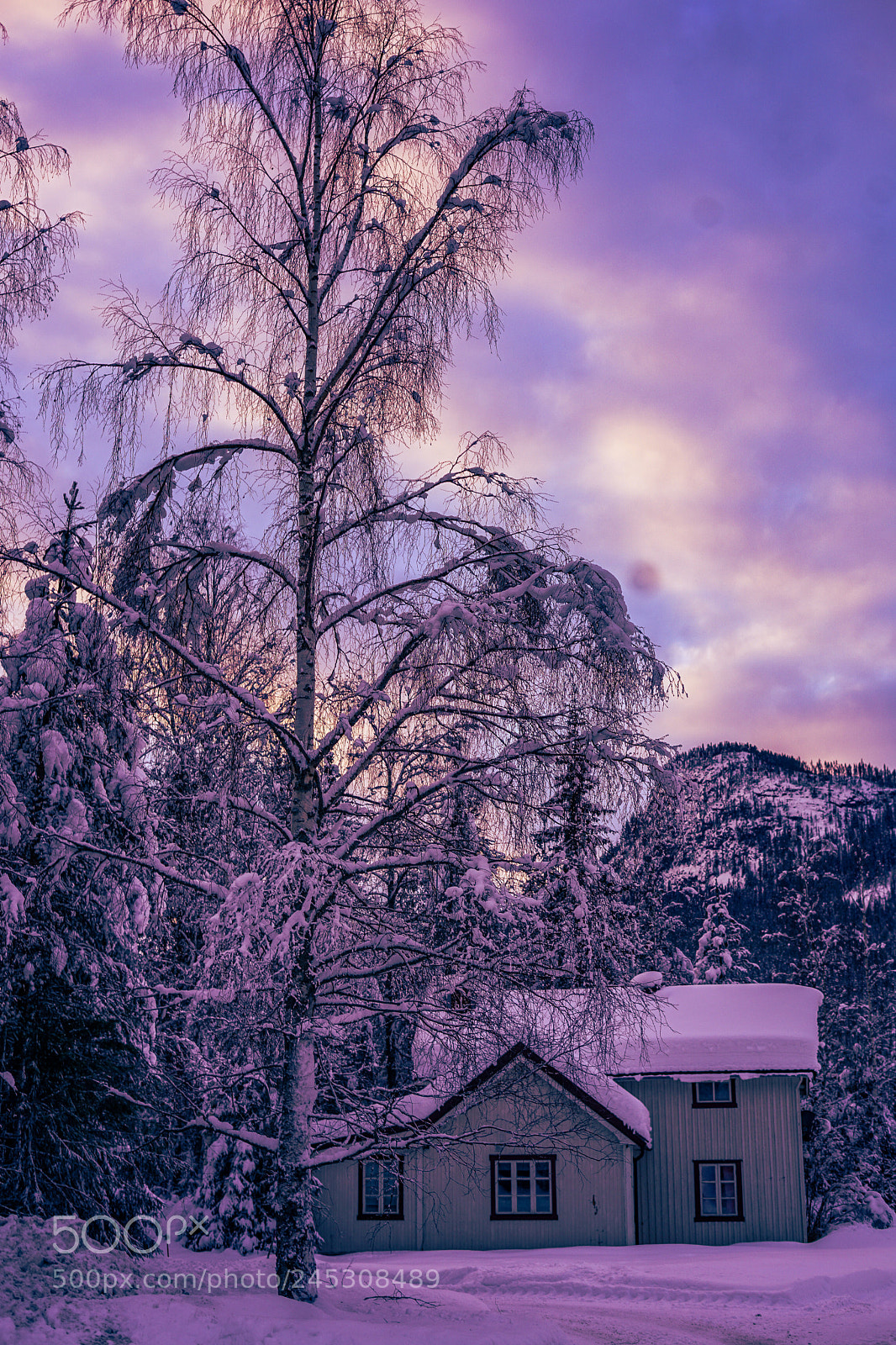 Sony a7 II sample photo. House by the road. photography