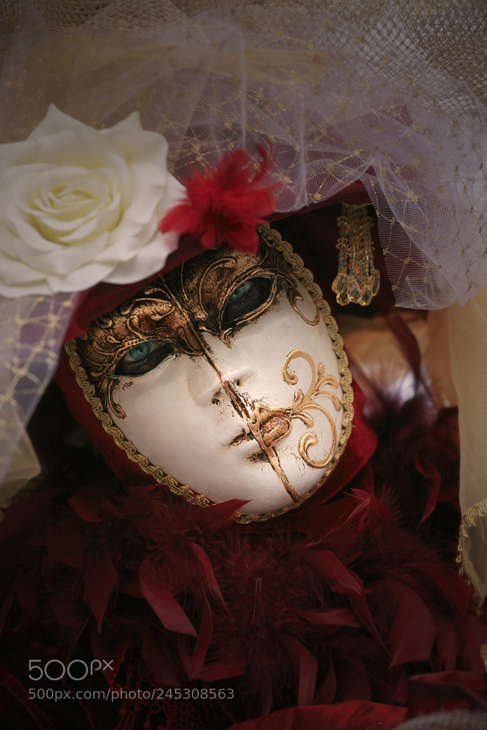 Canon EOS 5D sample photo. Carnival of venice #1 photography