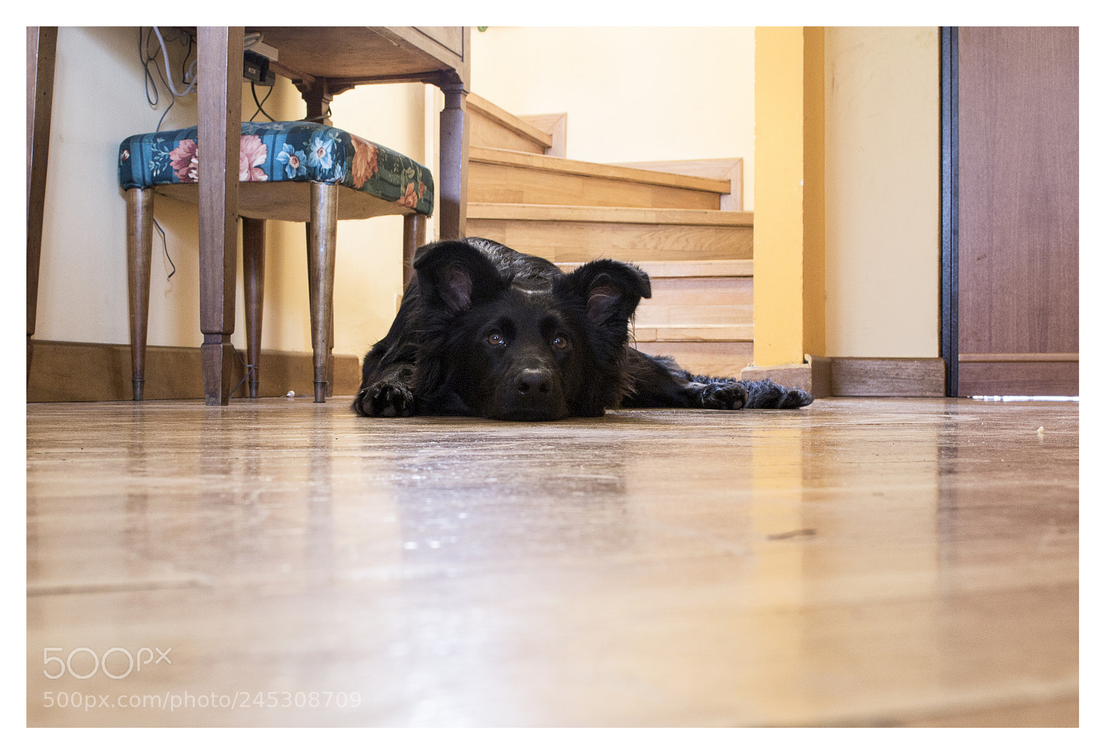 Nikon D3100 sample photo. Yuna photography