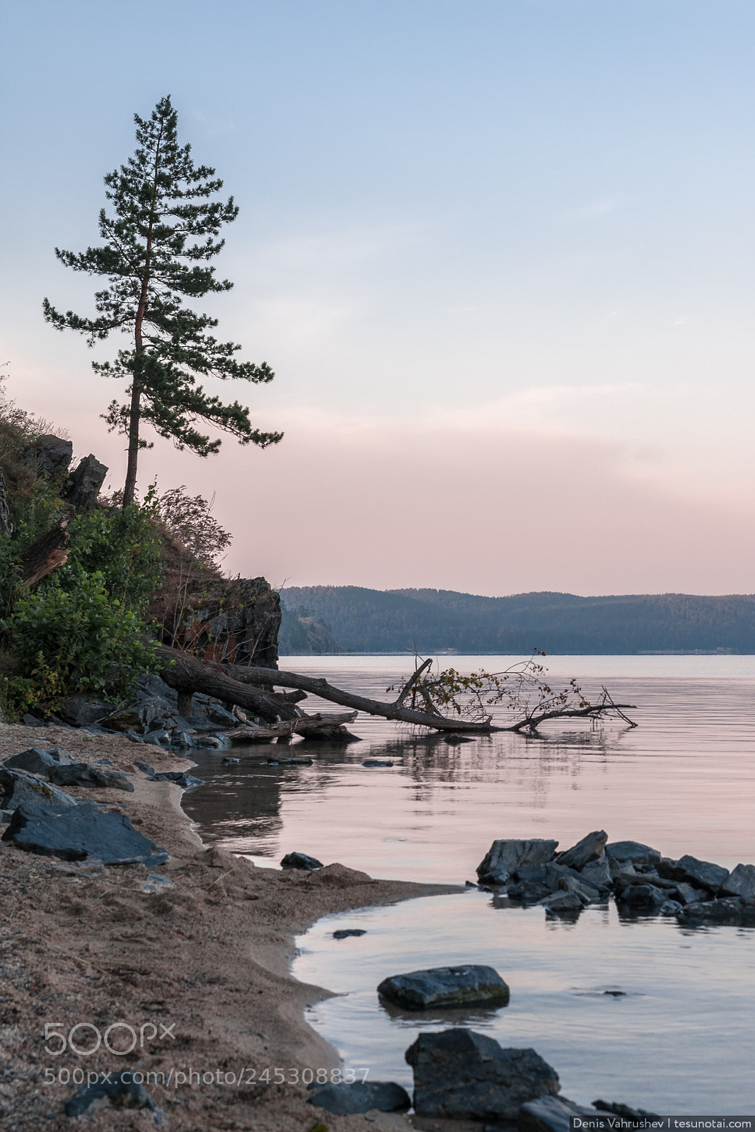 Canon EOS 40D sample photo. Lonely tree on the photography