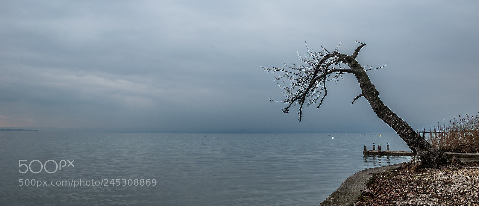 Nikon D5500 sample photo. A grey winter day.. photography