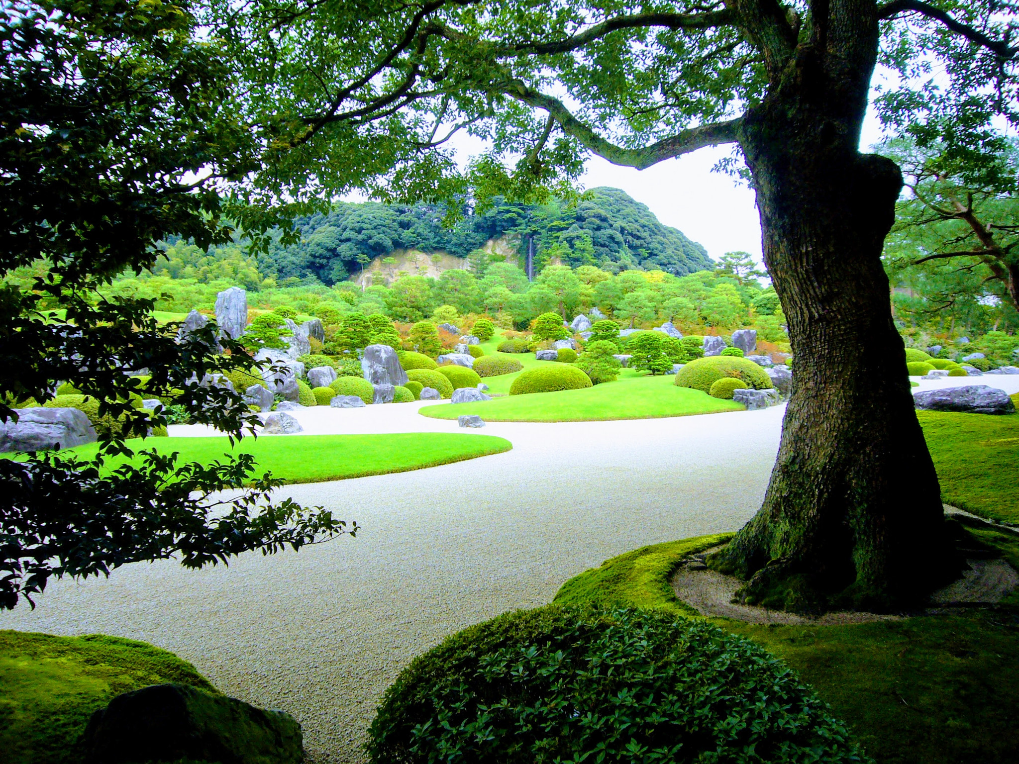 Panasonic DMC-FX01 sample photo. Japanese gardens photography