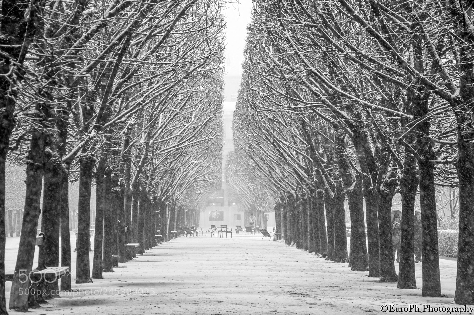 Nikon D7100 sample photo. Snowy paris photography