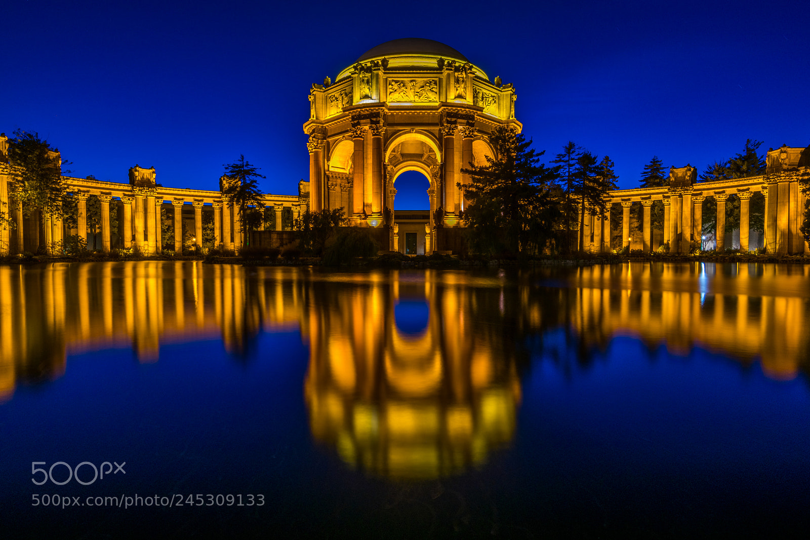 Nikon D850 sample photo. Golden glow photography