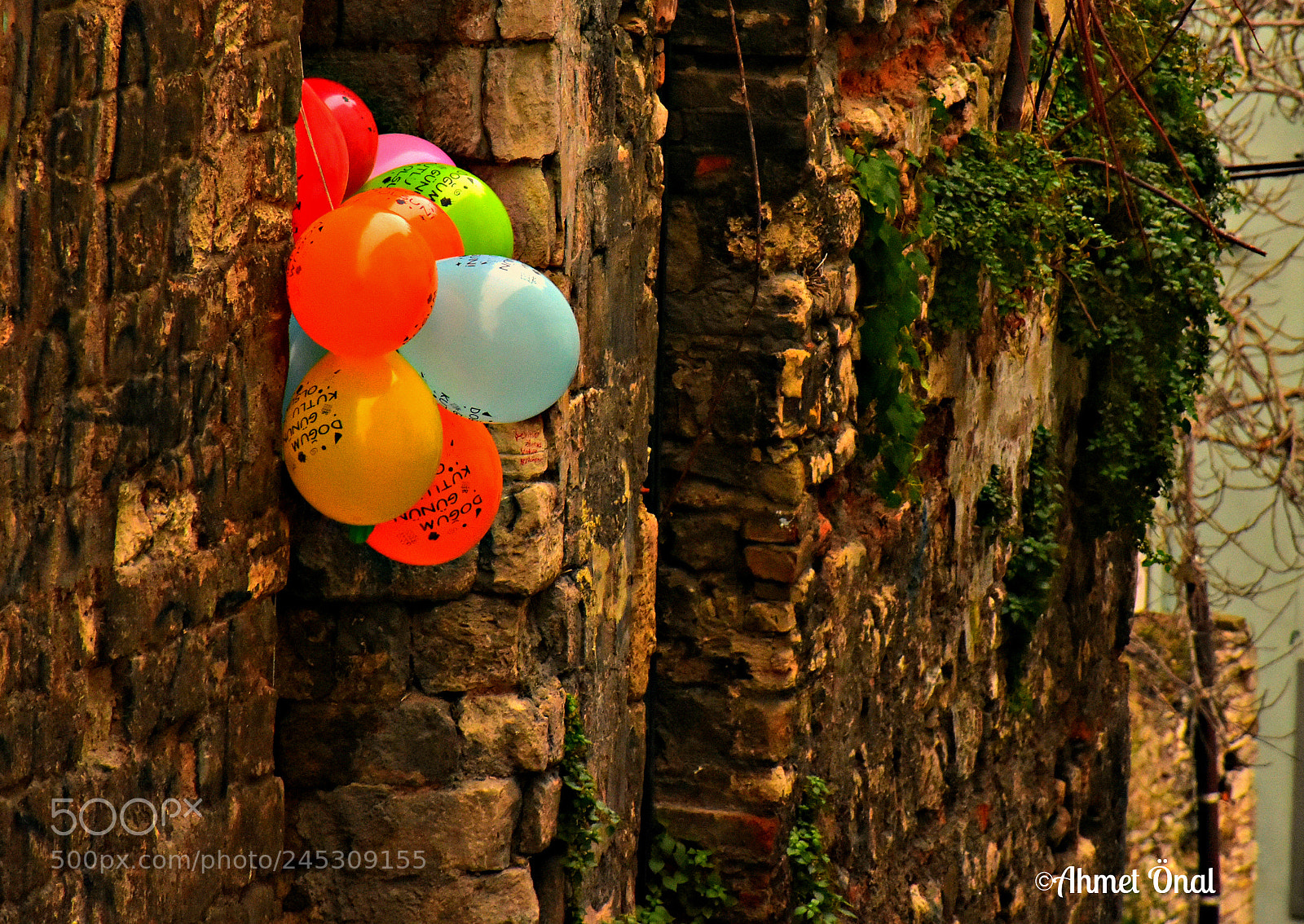 Nikon D7200 sample photo. Untitled photography