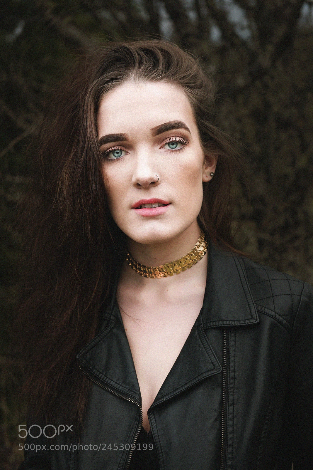 Nikon D810 sample photo. Silence photography