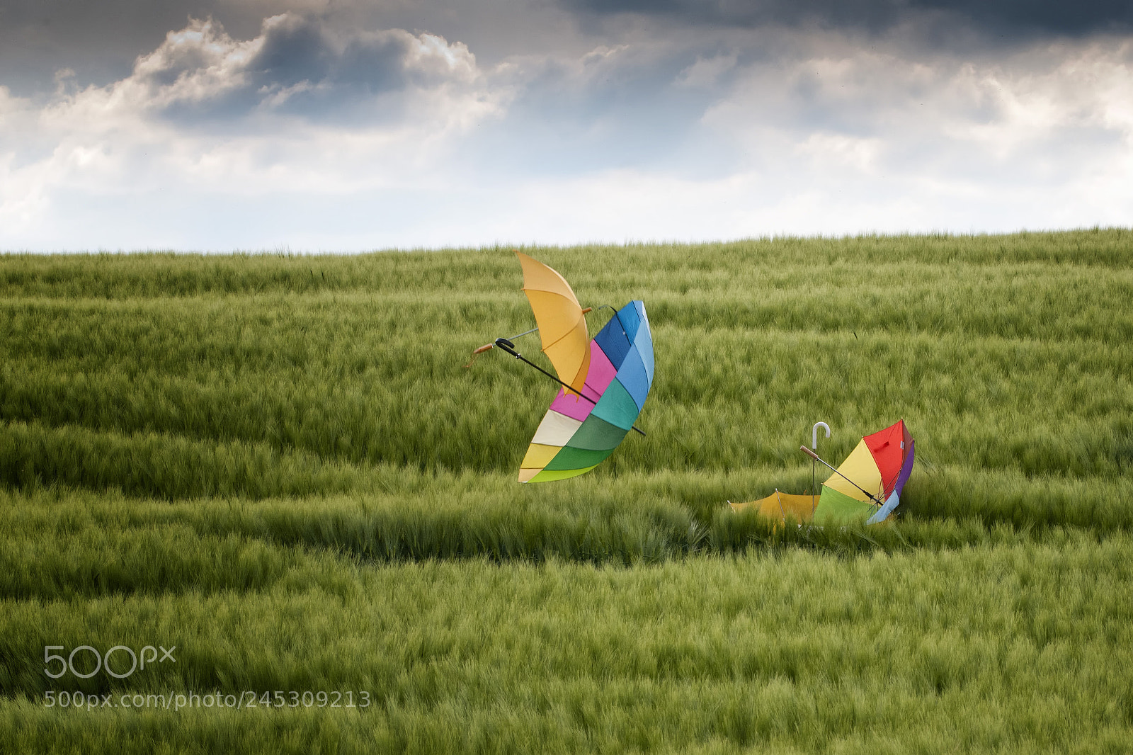 Nikon D300 sample photo. Storm on green field photography