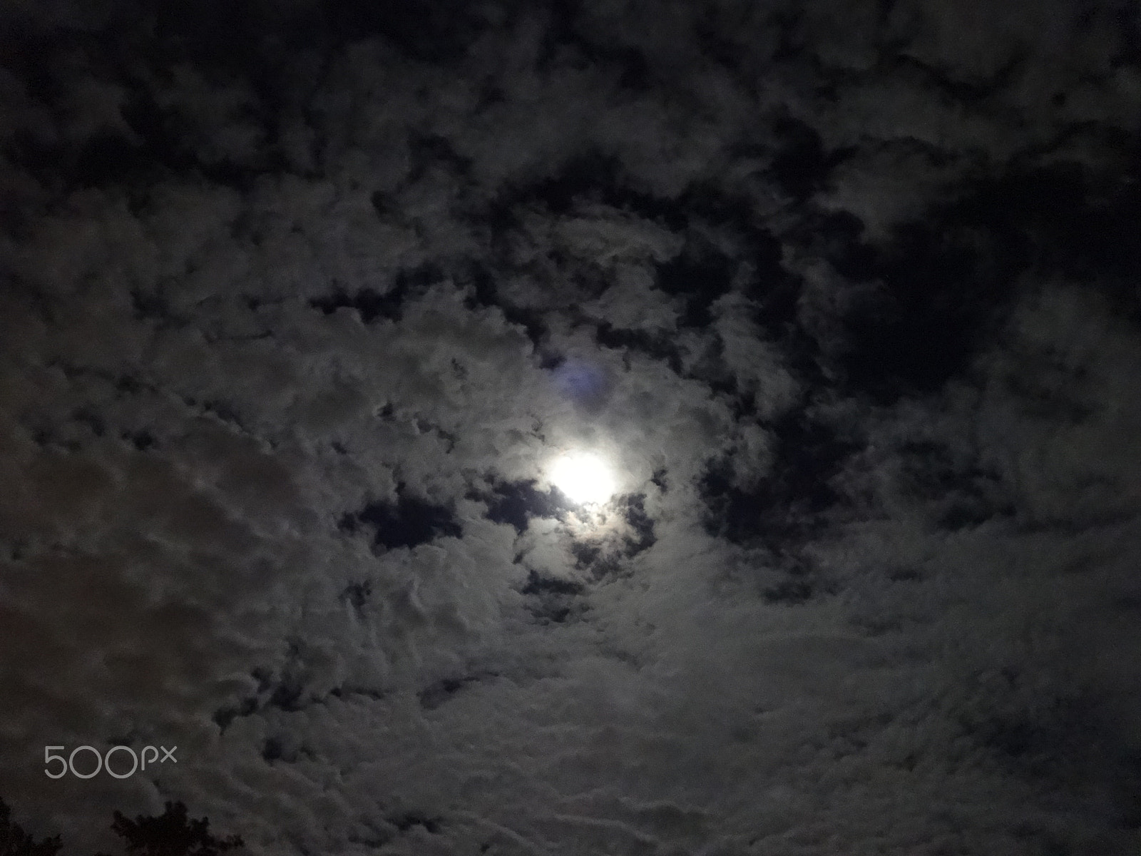 Sony Cyber-shot DSC-WX80 sample photo. Dsc photography