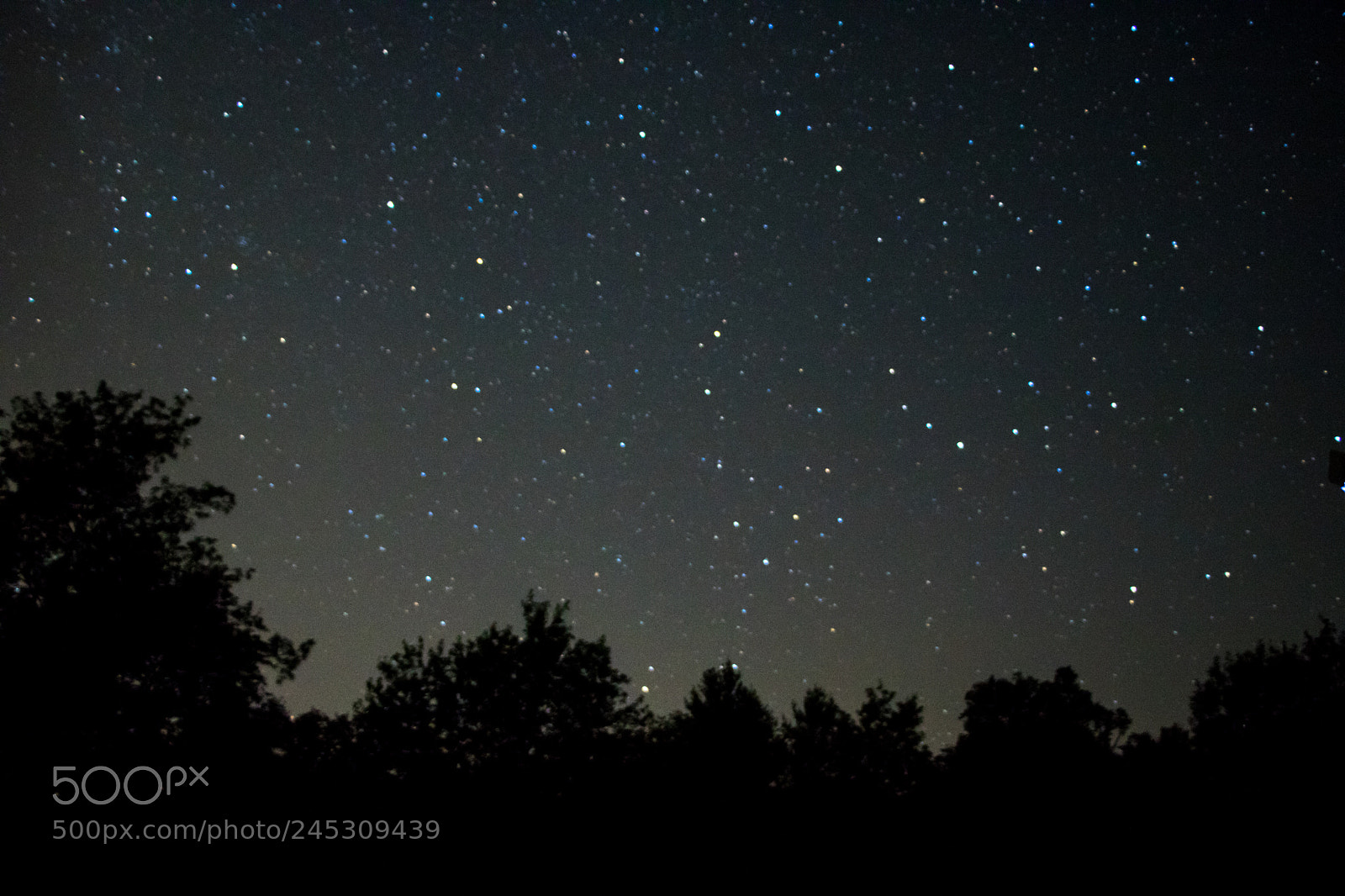 Canon EOS 750D (EOS Rebel T6i / EOS Kiss X8i) sample photo. Sky full of stars photography