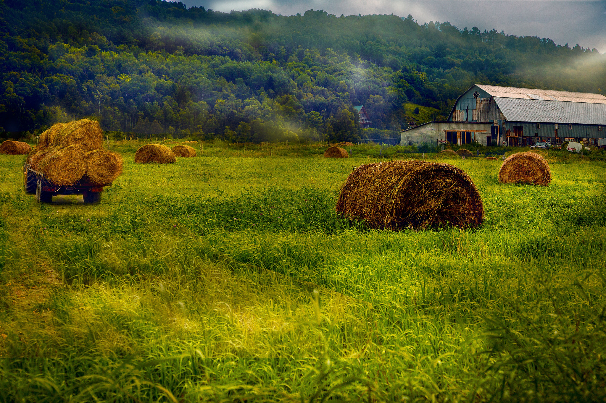 Canon EOS-1Ds sample photo. Farmland photography