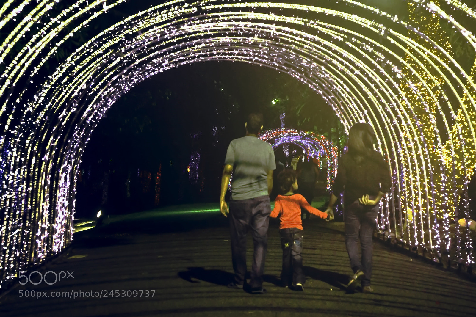 Nikon D3100 sample photo. Christmas tunnel photography