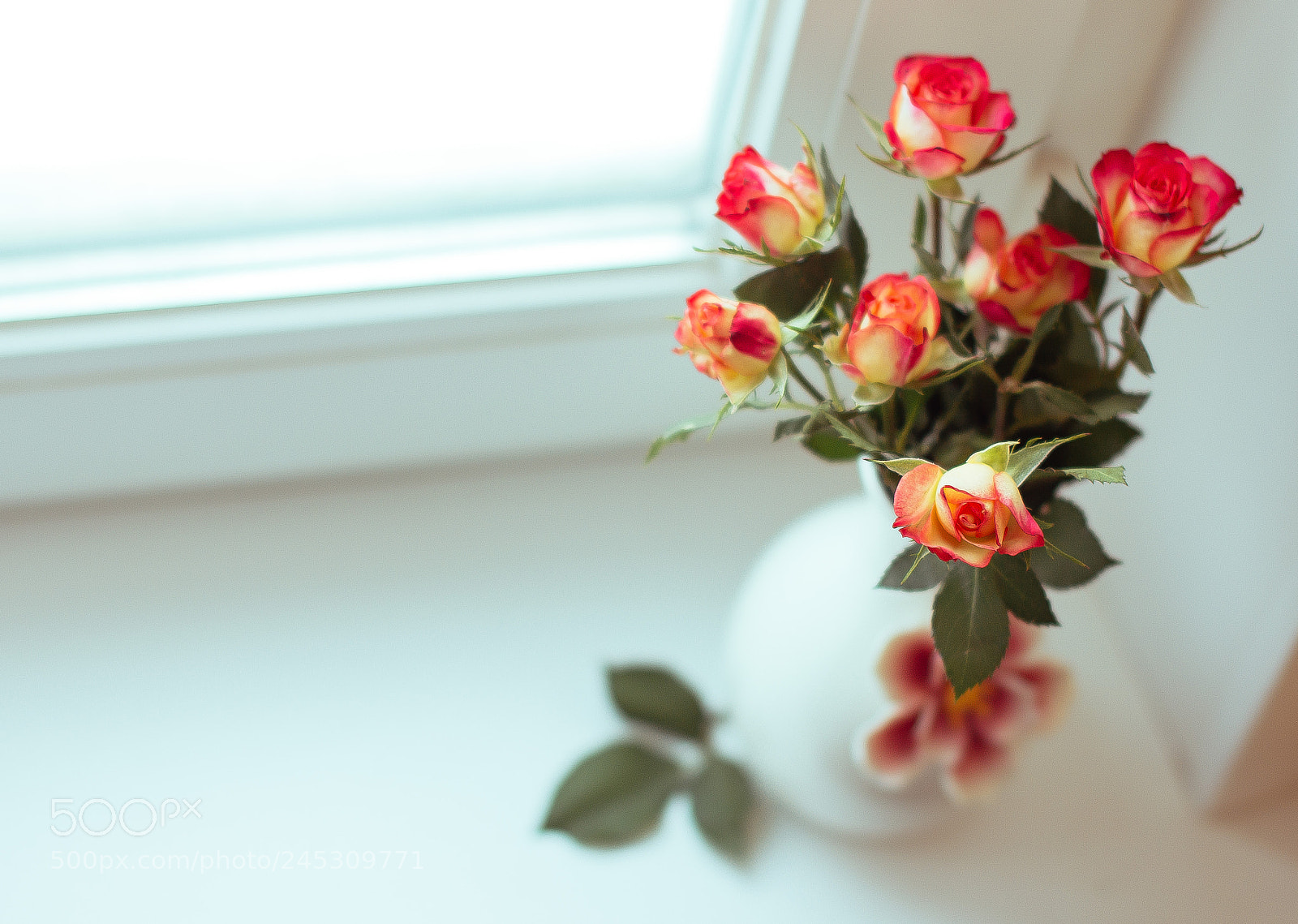 Canon EOS 60D sample photo. Still life photography