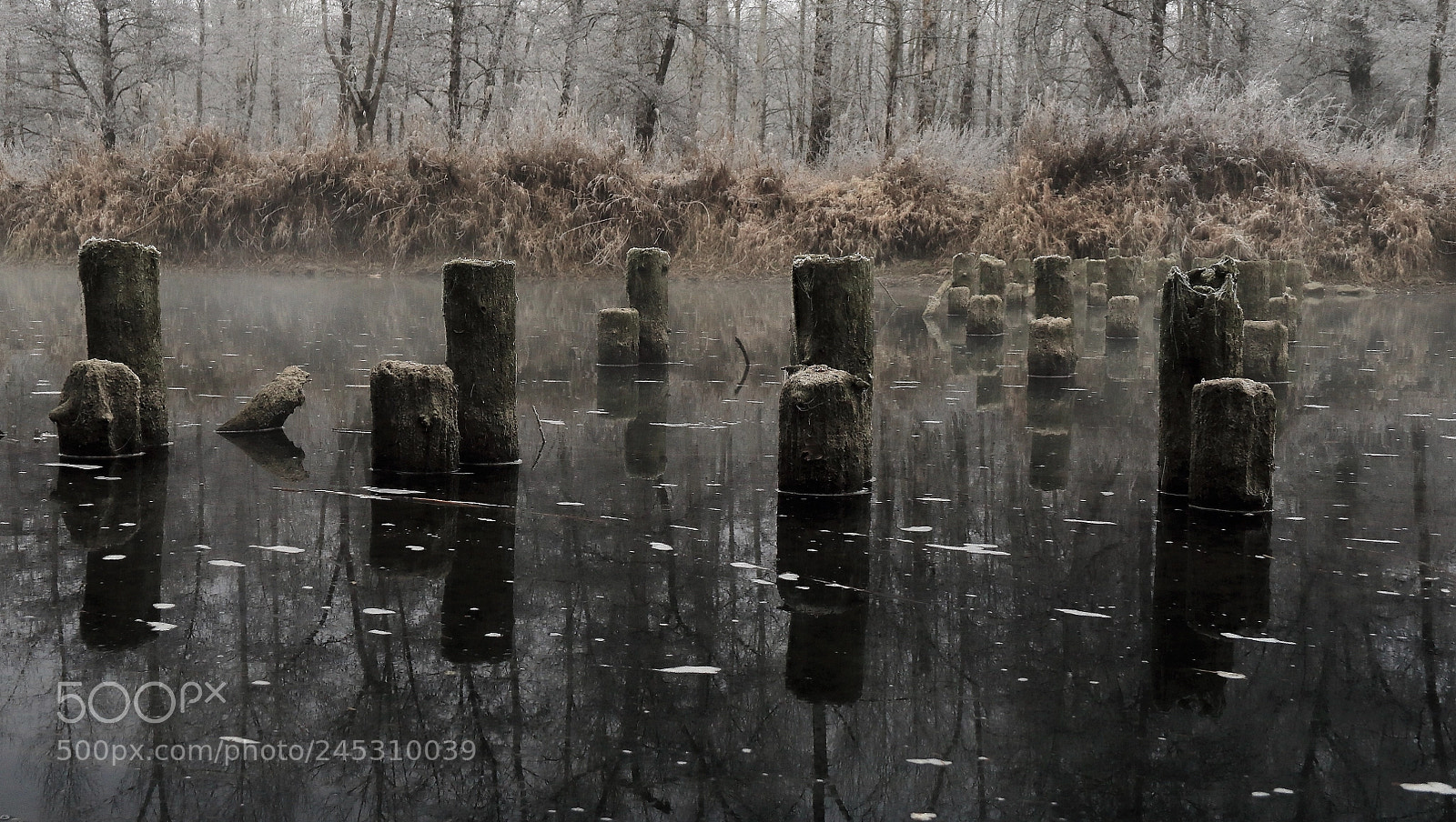 Canon EOS 7D Mark II sample photo. Danube backwater ii photography