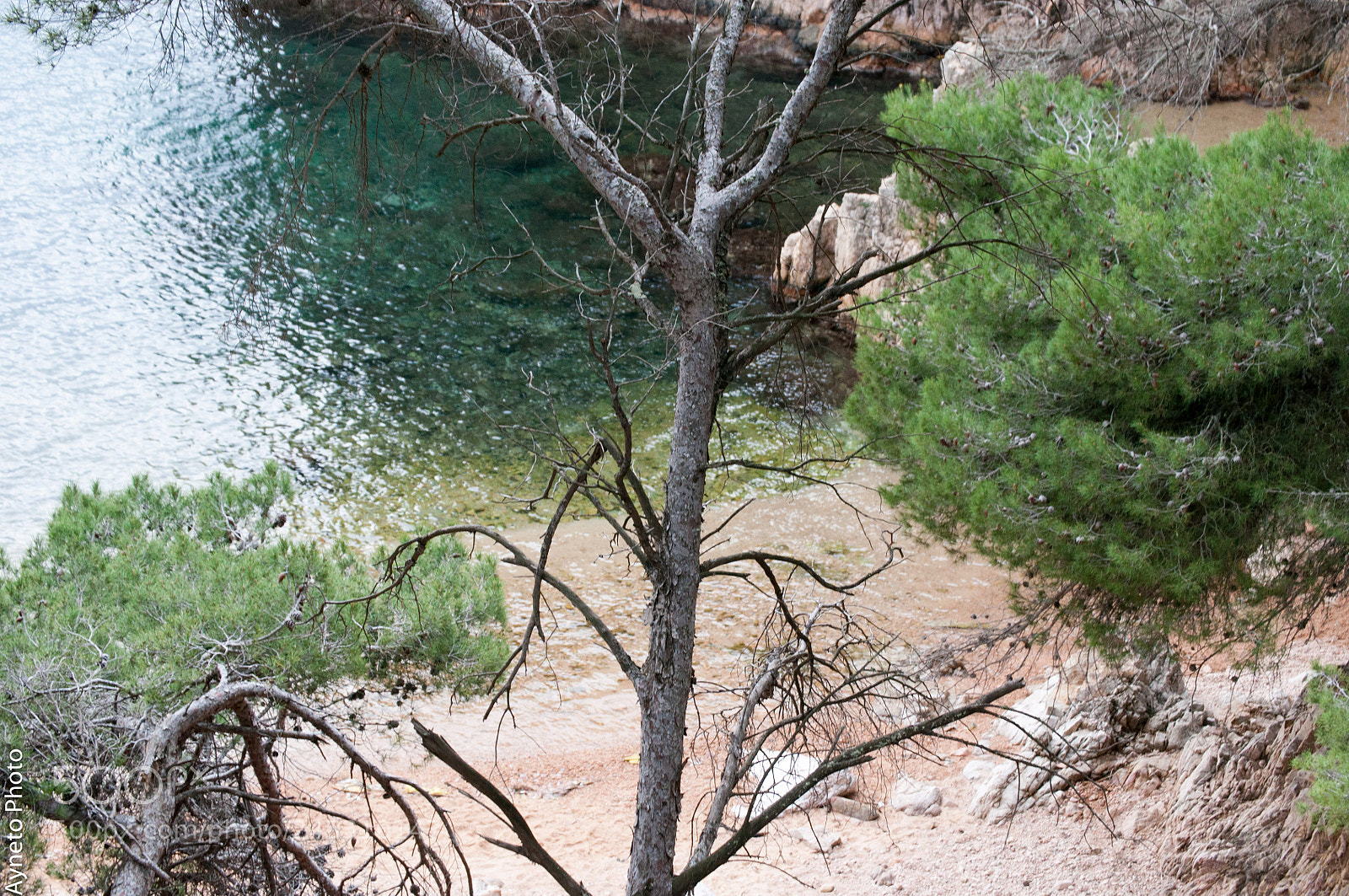 Nikon D5000 sample photo. Cala photography