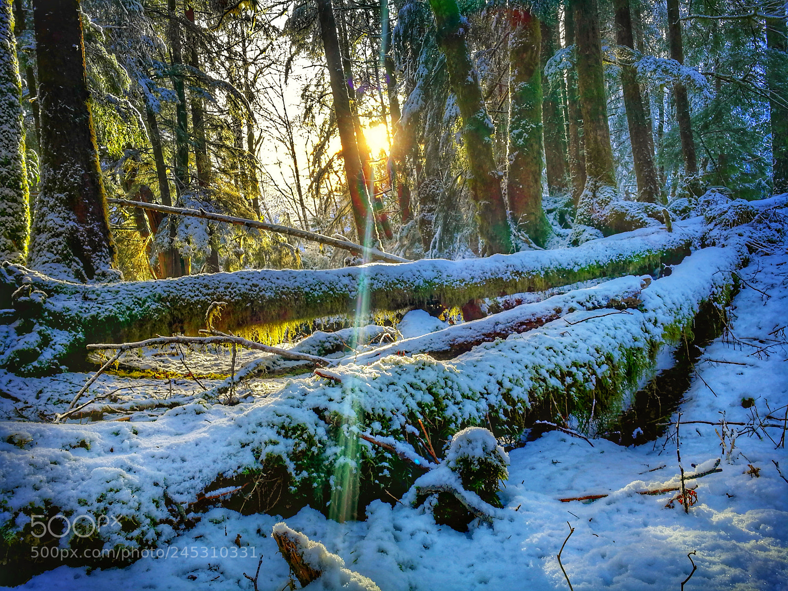 HUAWEI Mate 9 sample photo. Snow and sun photography
