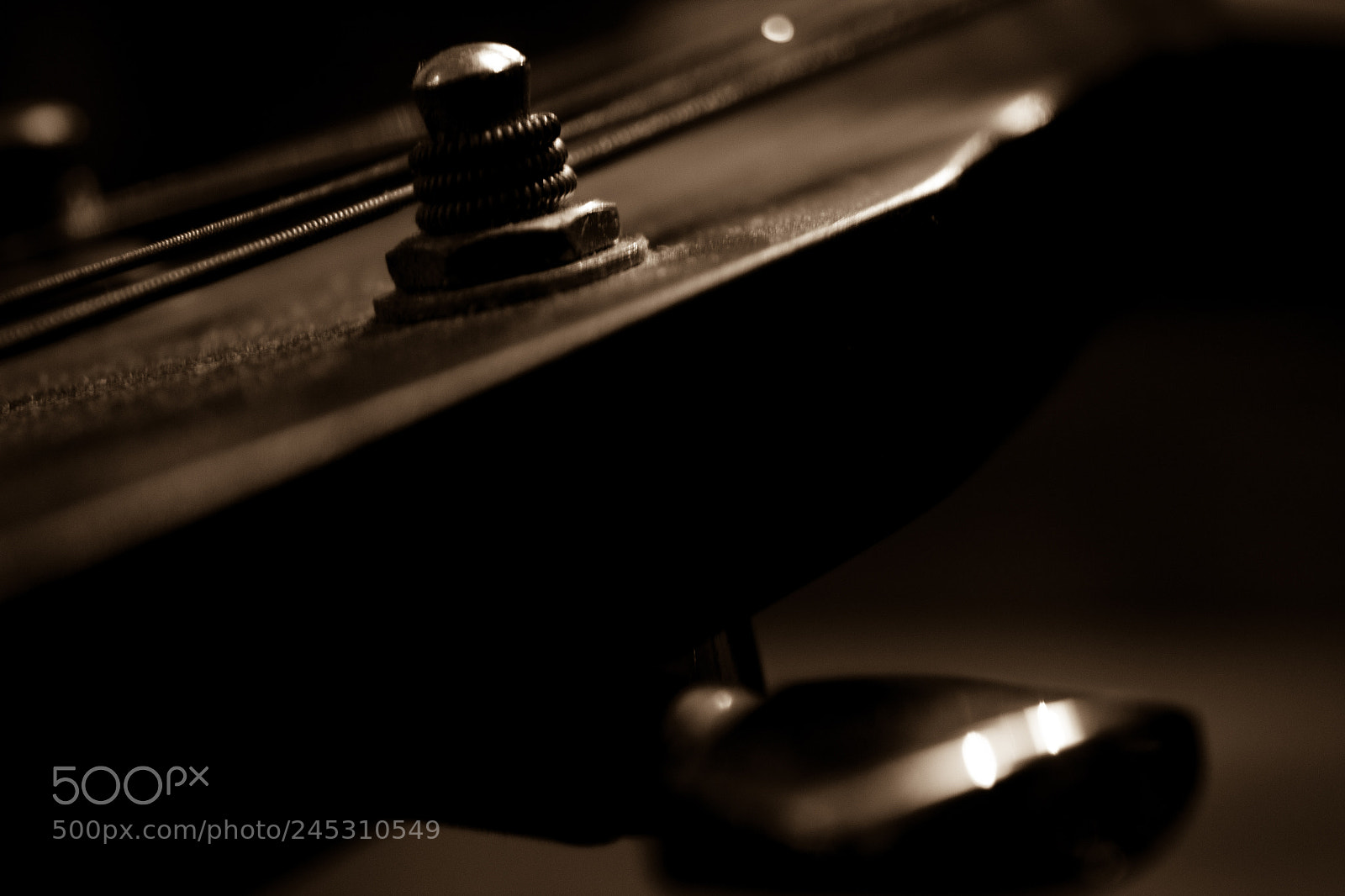 Canon EOS 1200D (EOS Rebel T5 / EOS Kiss X70 / EOS Hi) sample photo. Old guitar photography