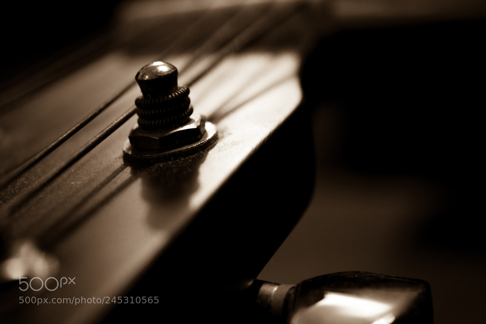 Canon EOS 1200D (EOS Rebel T5 / EOS Kiss X70 / EOS Hi) sample photo. Old guitar photography