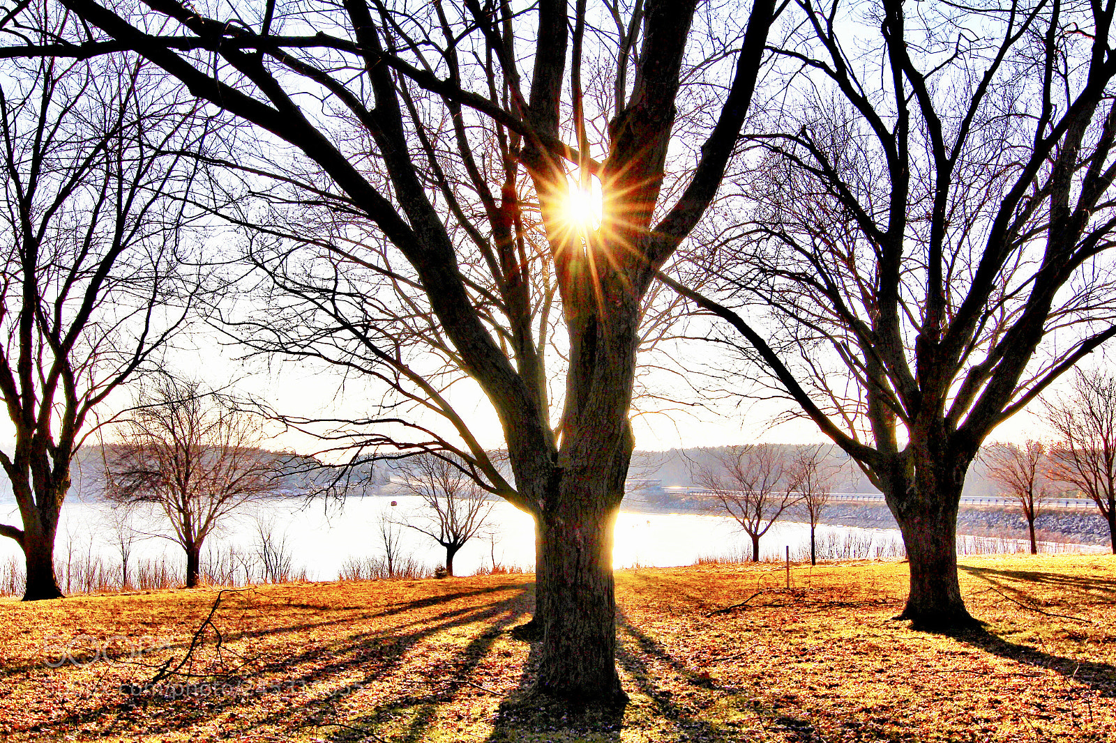 Canon EOS 60D sample photo. Morning light photography