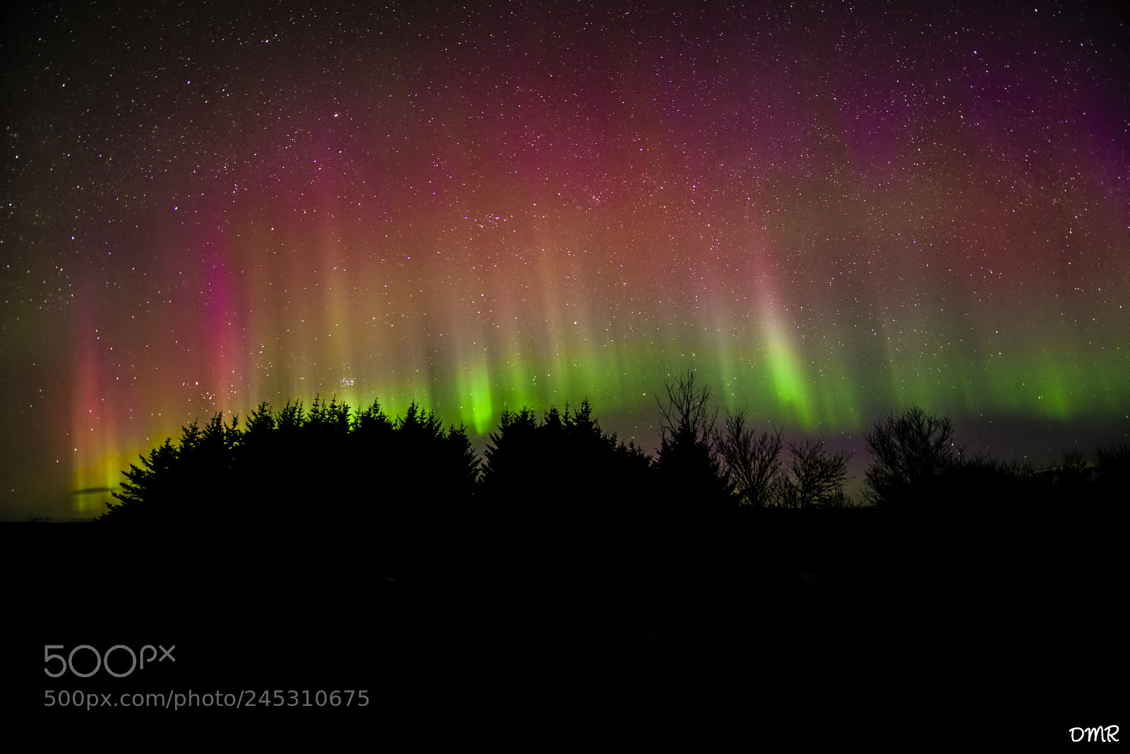Nikon D610 sample photo. Northern lights photography