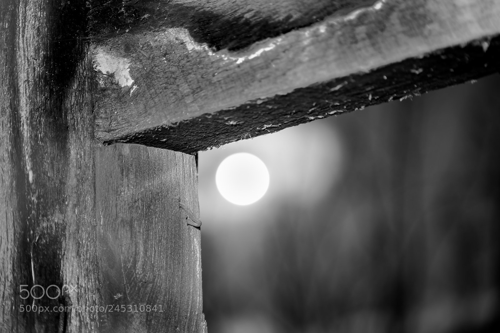 Nikon D5500 sample photo. Moon in a corner photography