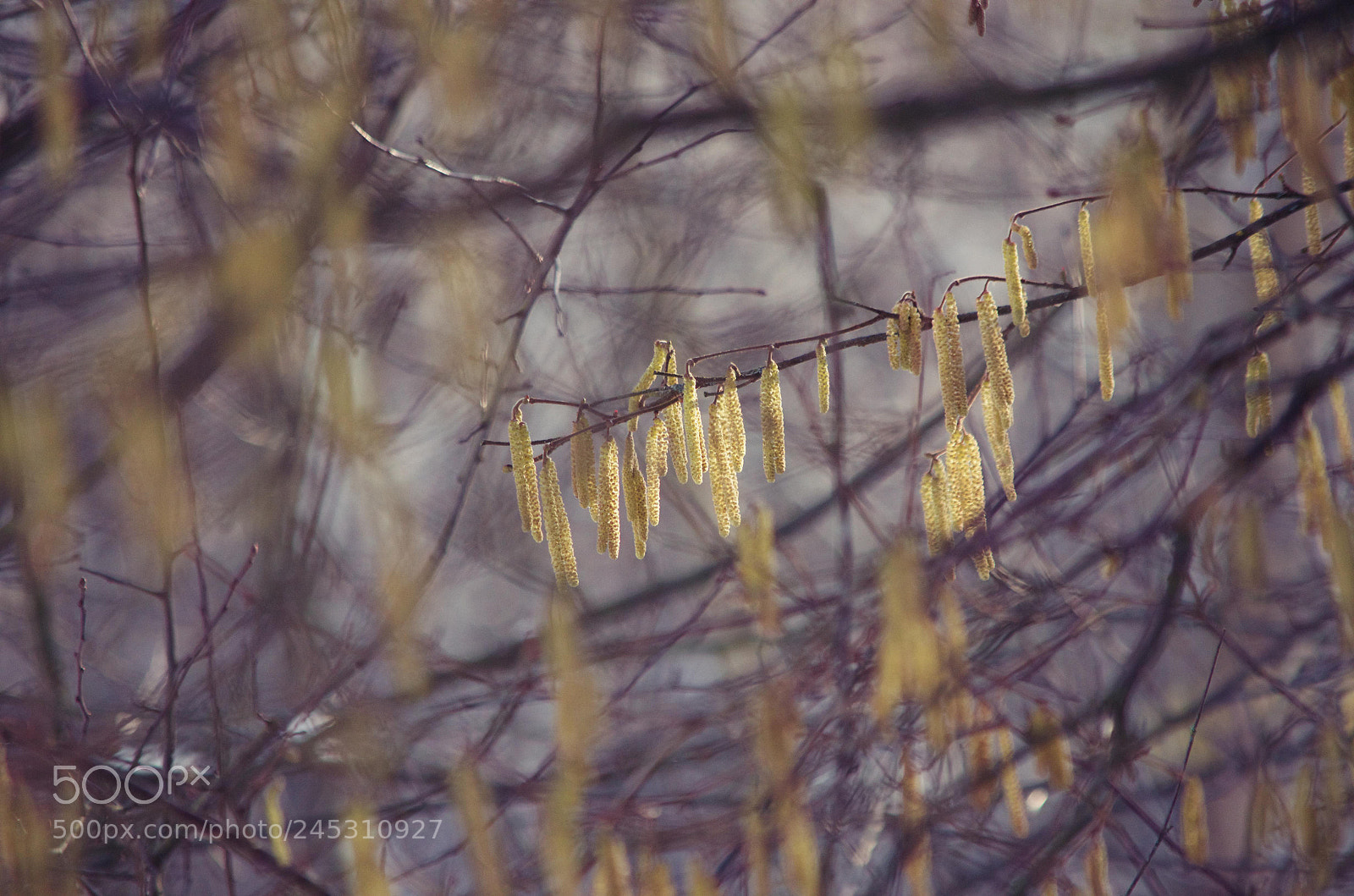 Nikon D5100 sample photo. Waiting for... photography