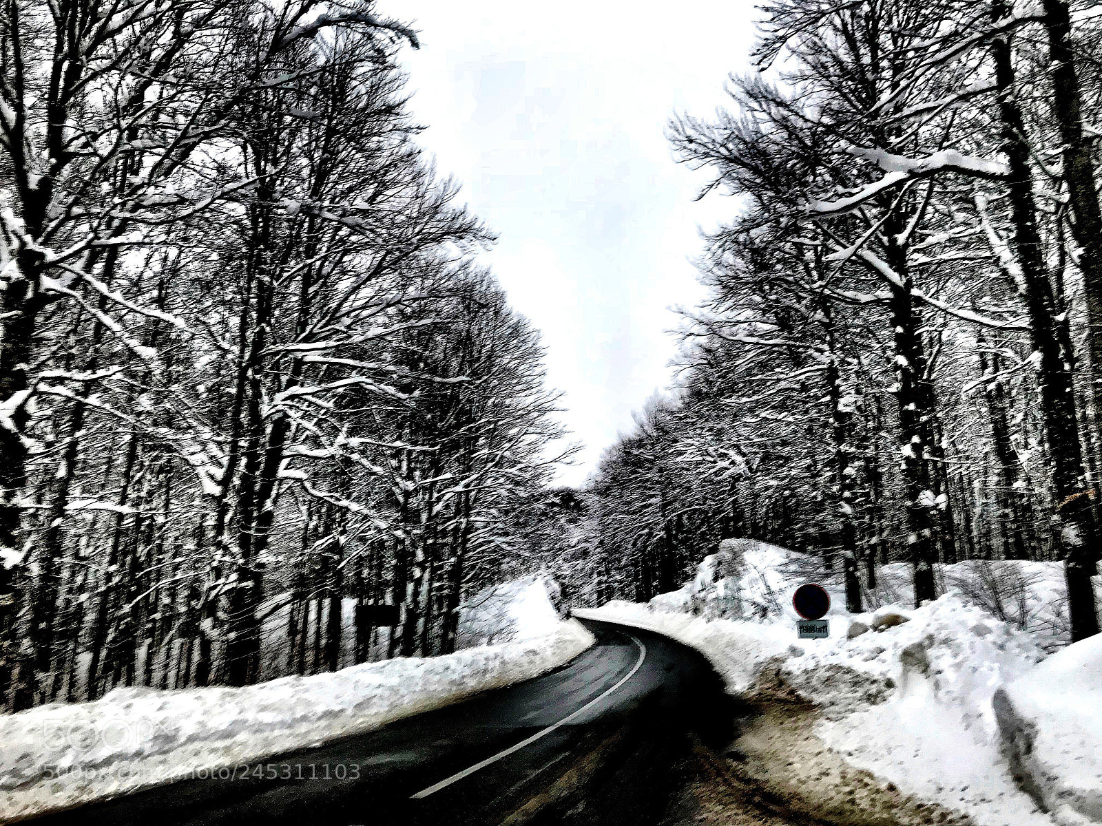 Apple iPhone 7 Plus sample photo. Frozen road photography