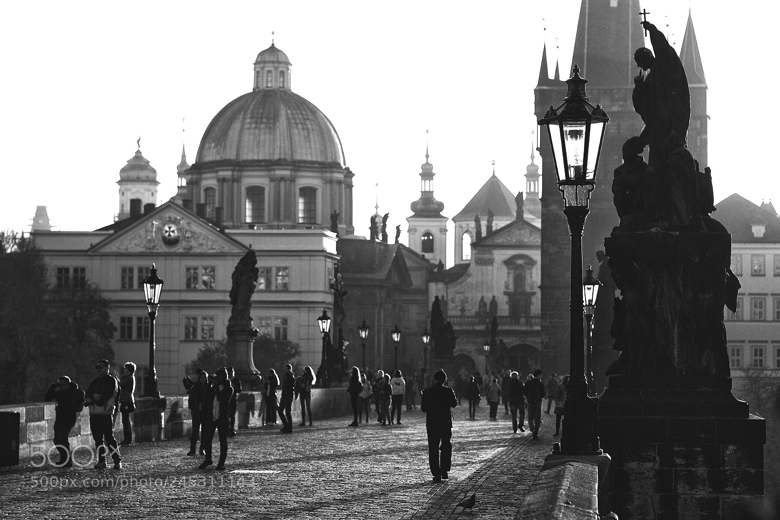 Olympus PEN E-PL1 sample photo. Warm mourning photography