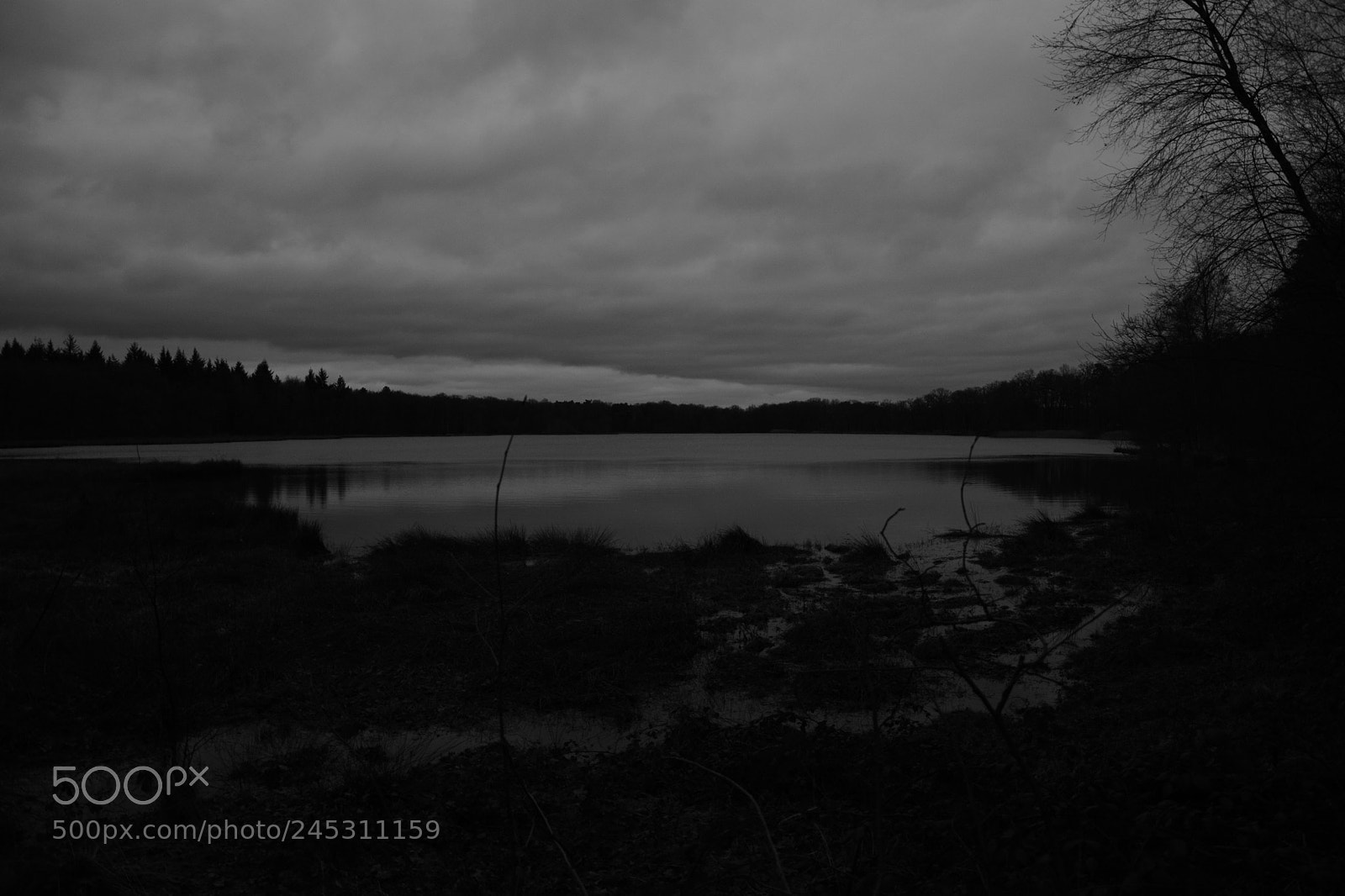 Nikon D5200 sample photo. Reflection photography