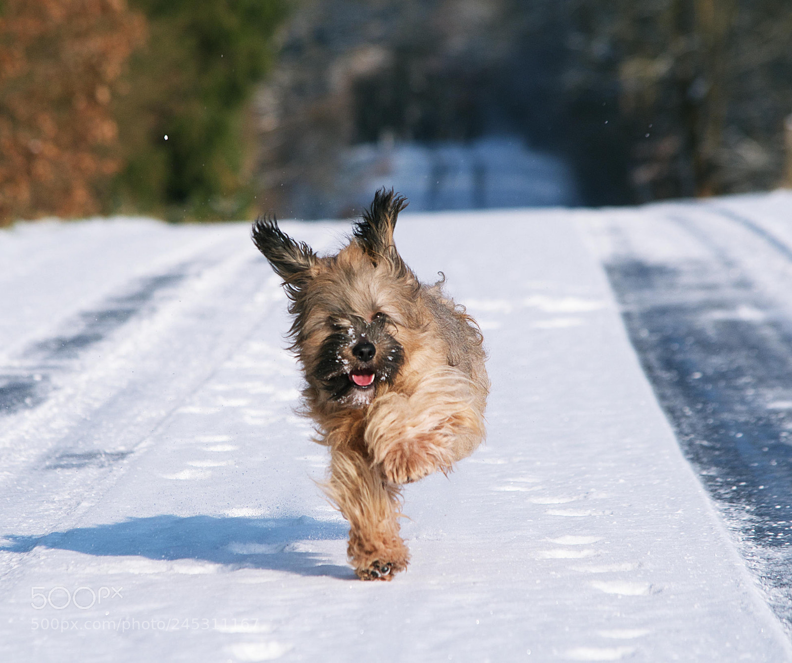 Nikon D5100 sample photo. Running tt photography