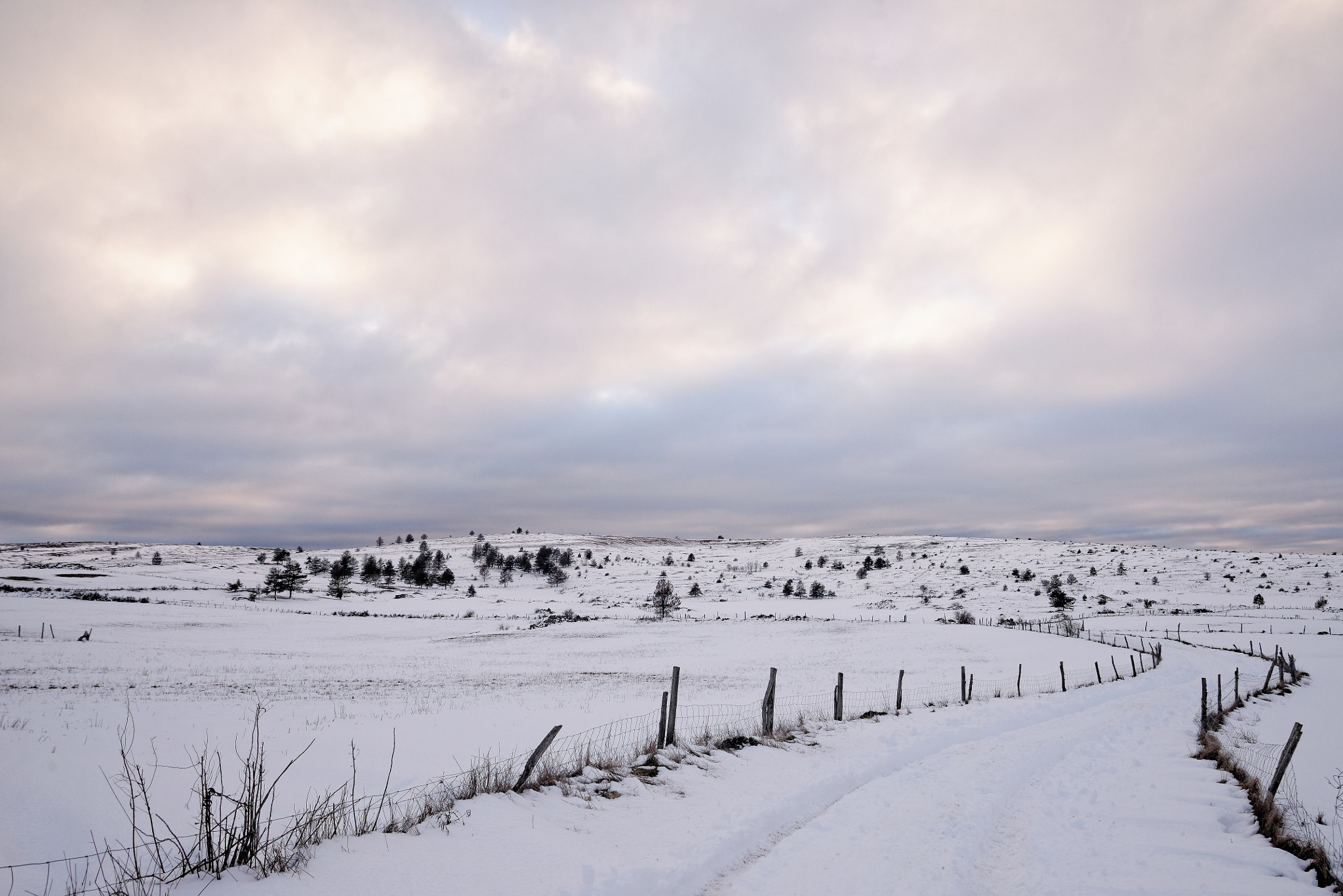 Nikon D610 sample photo. Balade sur le causse de sauveterre photography