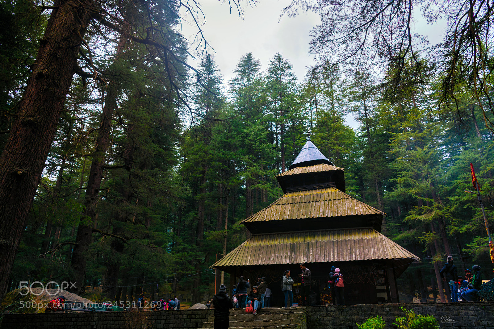 Nikon D7100 sample photo. Hidimba devi temple photography