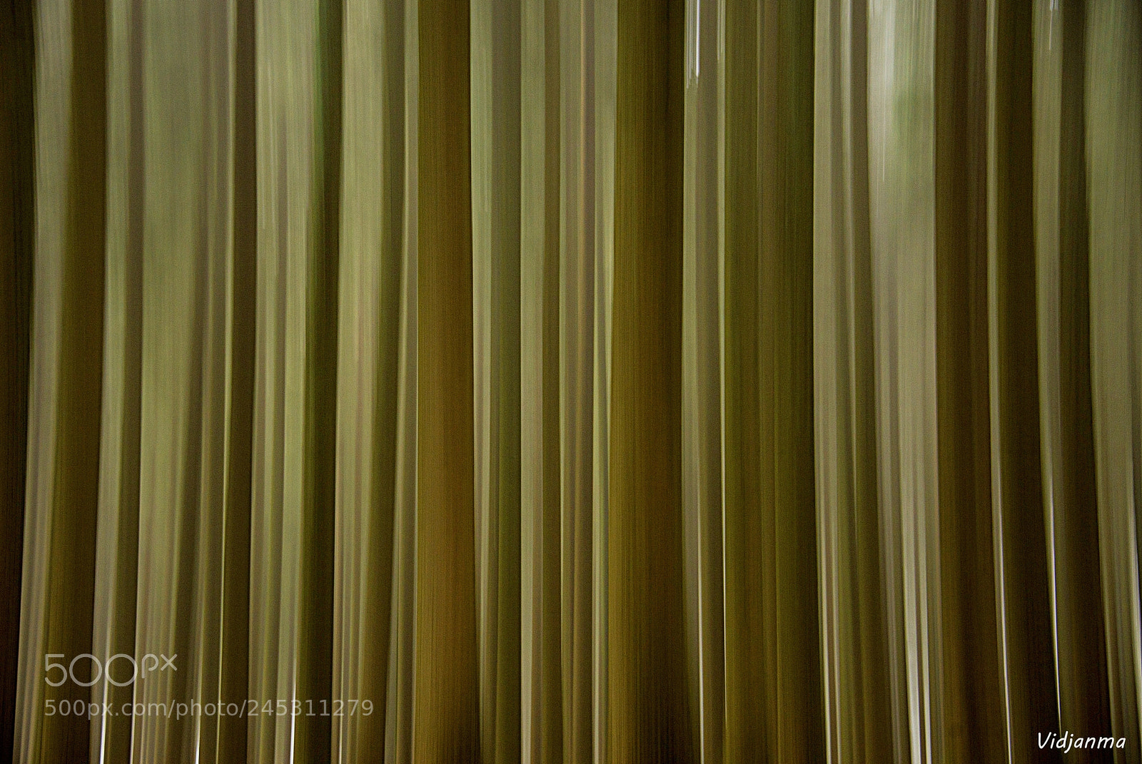 Nikon D610 sample photo. In the firs photography