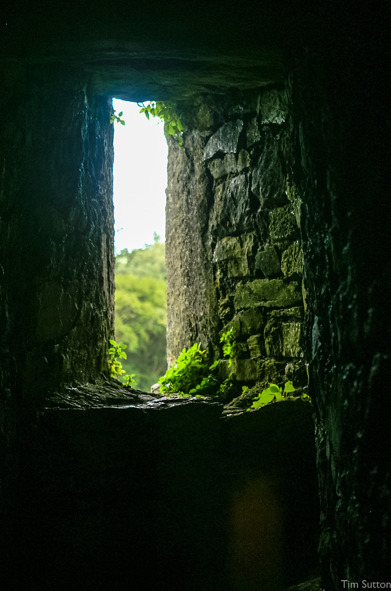 KONICA MINOLTA ALPHA-7 DIGITAL sample photo. Blarney castle photography