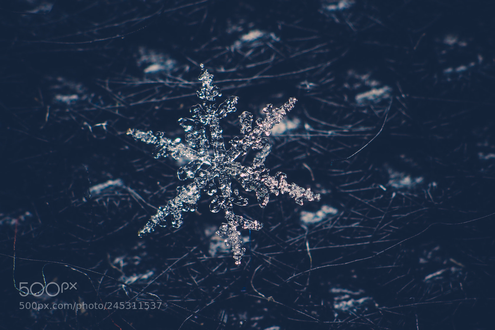 Canon EOS 550D (EOS Rebel T2i / EOS Kiss X4) sample photo. Img snow flakes photography