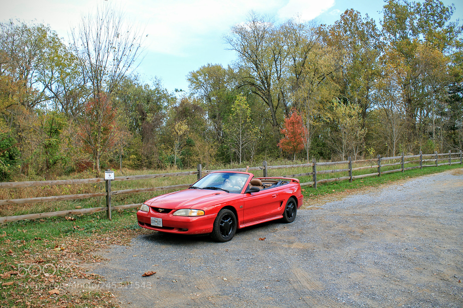 Canon EOS 1100D (EOS Rebel T3 / EOS Kiss X50) sample photo. Topless mustang photography