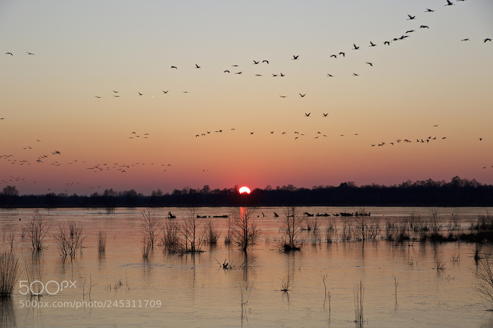 Canon EOS 7D Mark II sample photo. Sonnenuntergang im moor photography