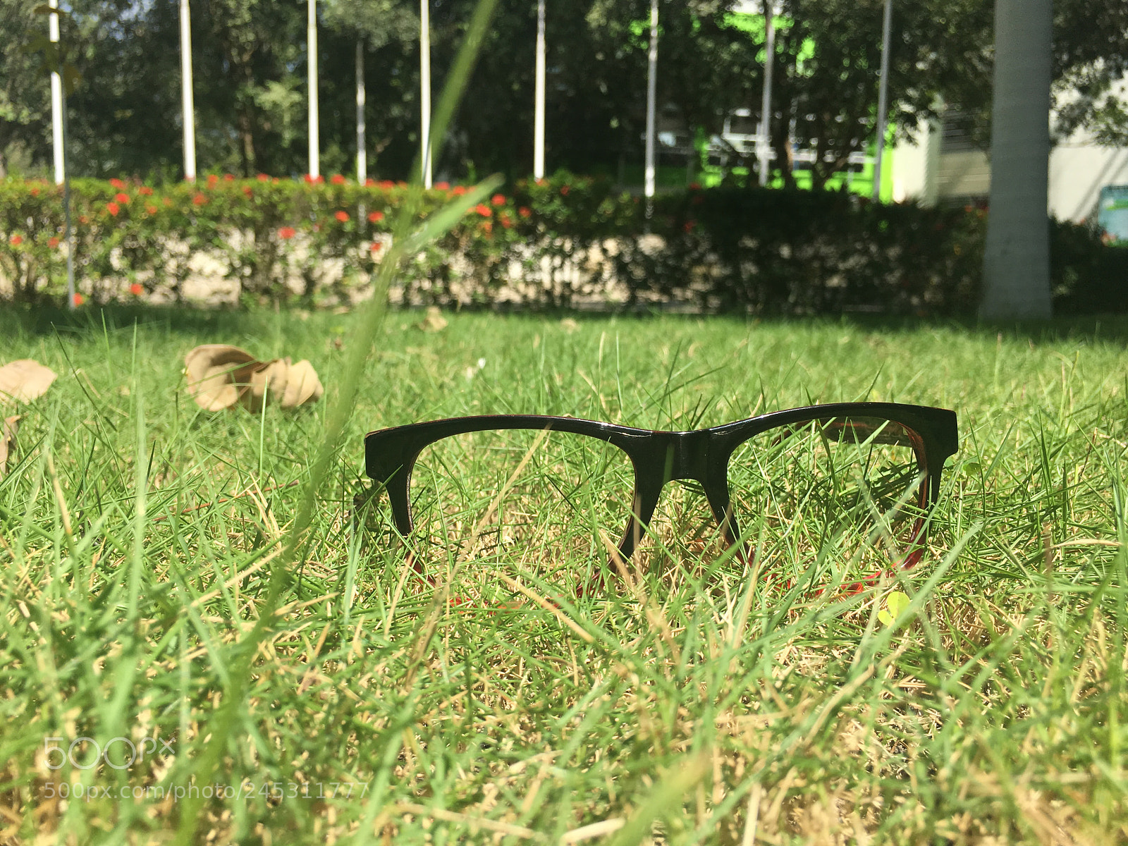 Apple iPhone 6s Plus sample photo. #objetocompleto photography