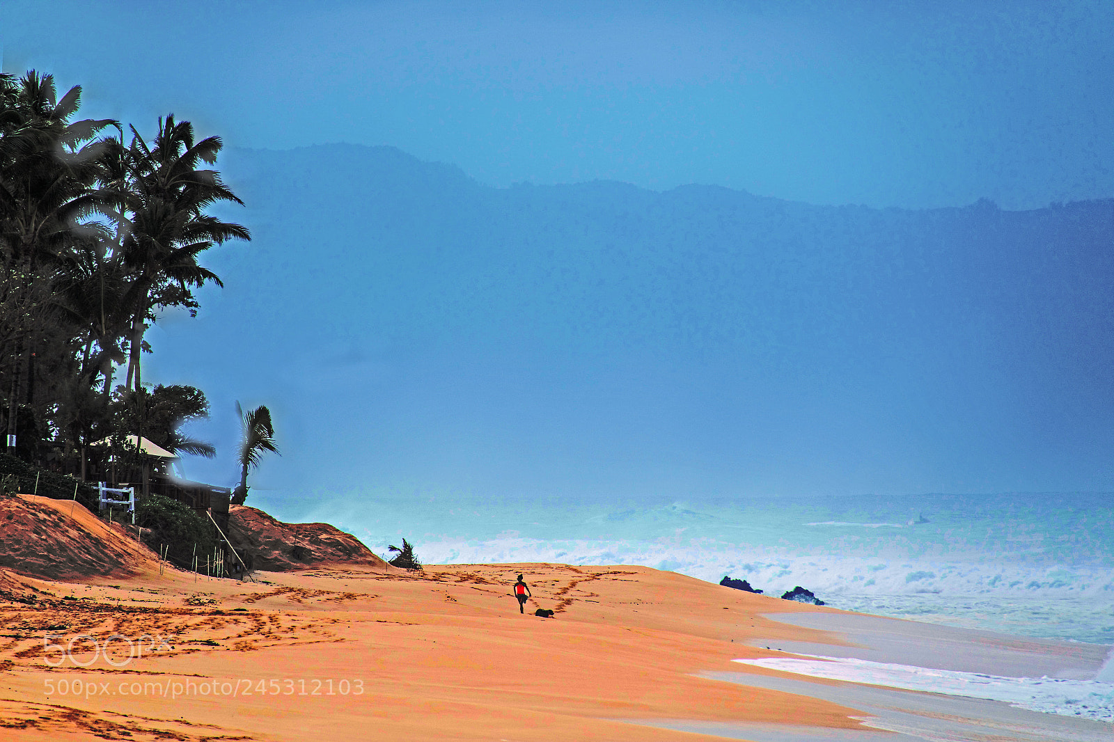 Sony Cyber-shot DSC-RX10 III sample photo. Beach solo photography