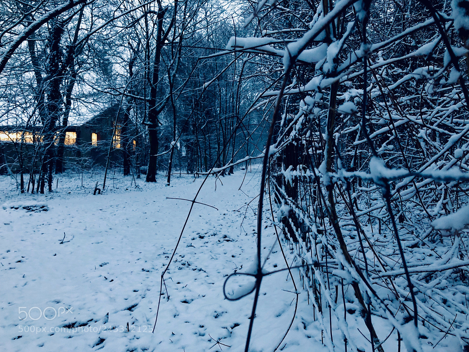 Apple iPhone X sample photo. The hidden cottage photography