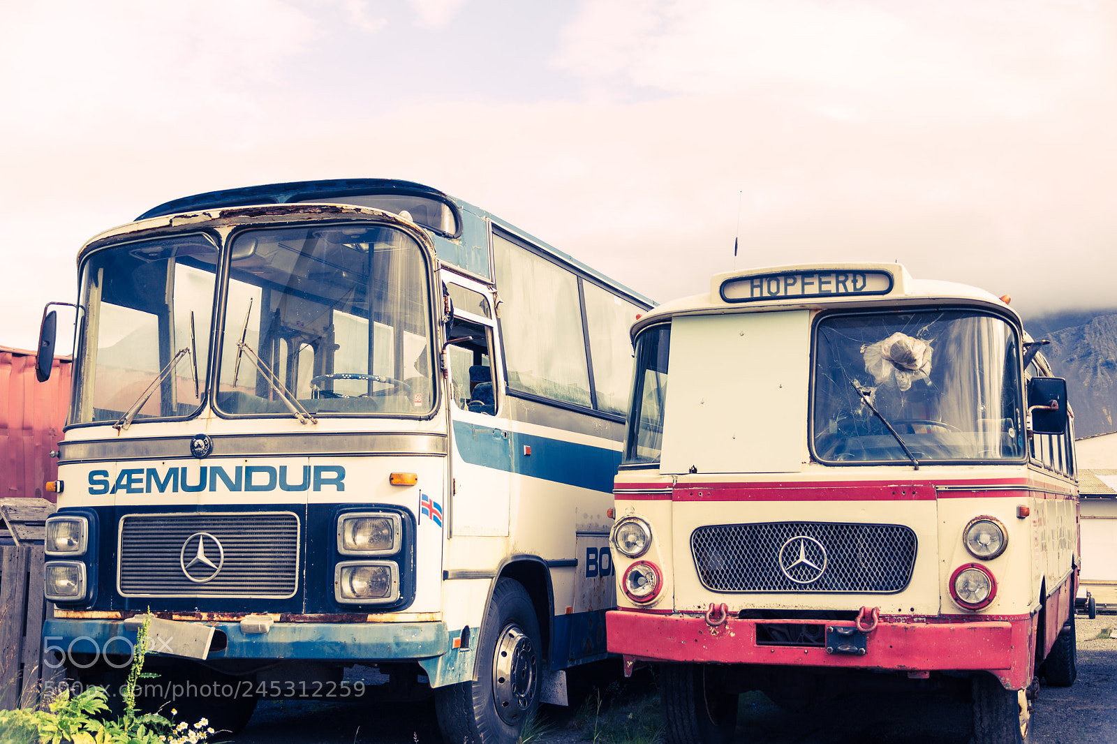 Nikon D7200 sample photo. Busses photography