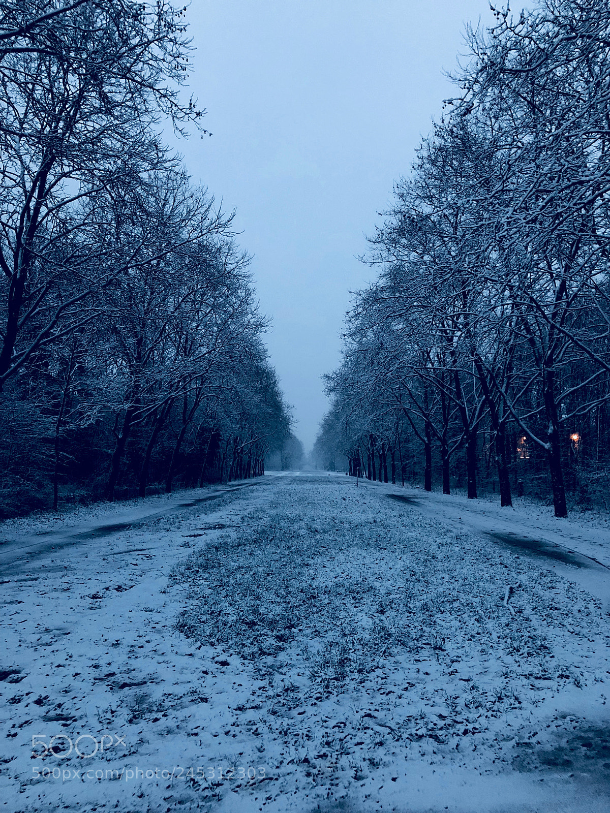 Apple iPhone X sample photo. The infinite pathway in photography