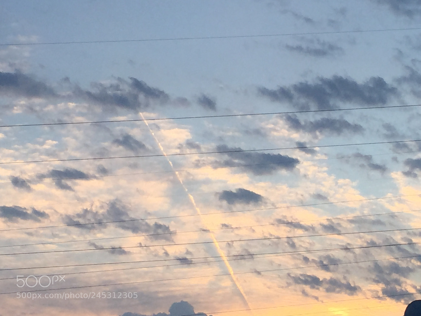 Apple iPhone 6 sample photo. Untitled photography